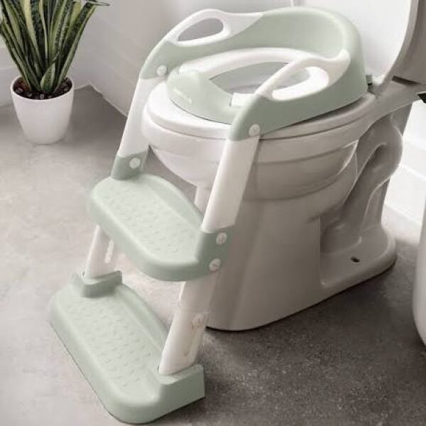 Potty Training Ladder