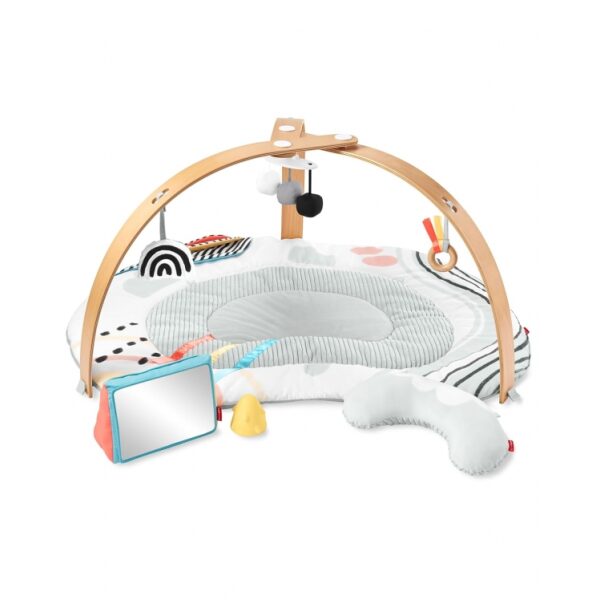 Skip Hop Baby Play Gym